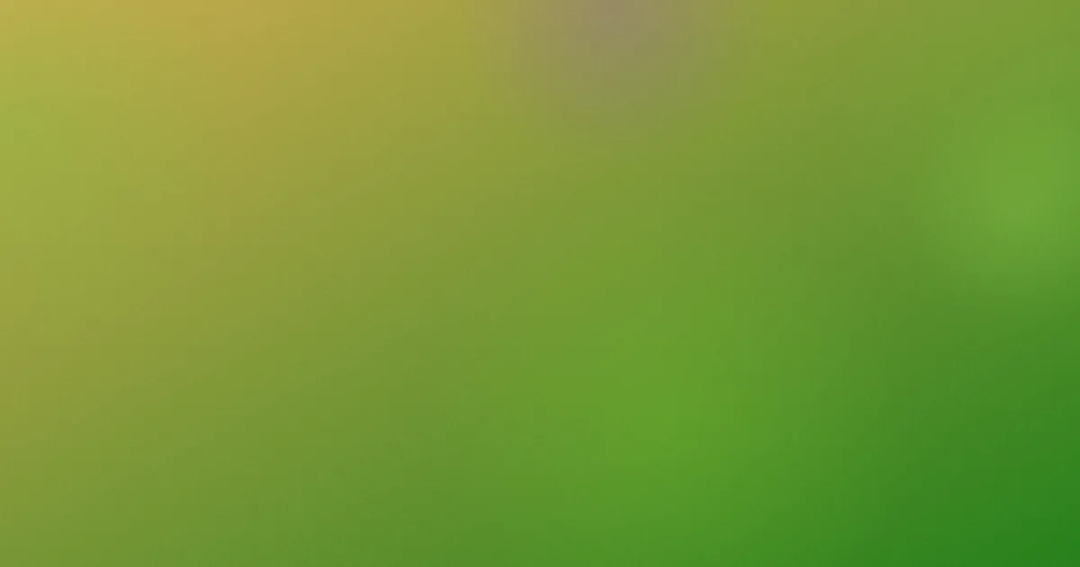 薛丁山攻略：常见问题